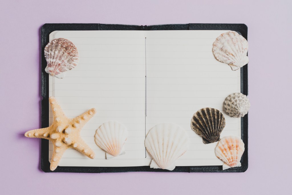 Ah ! Les fameuses coquilles…